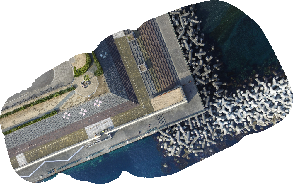 OrthoPhoto_thumbnail.png